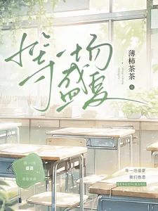 《等一场盛夏》小说封面