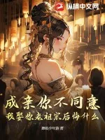 《成亲你不同意，我娶你老祖宗后悔什么？》小说封面