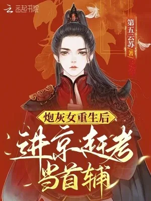 《炮灰女重生后进京赶考当首辅》小说封面