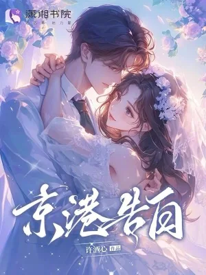 《京港告白》小说封面