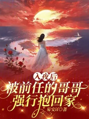 《入夜后，被前任的哥哥强行抱回家》小说封面