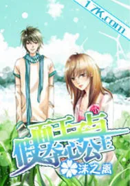 《假面王子与夺心公主》小说封面