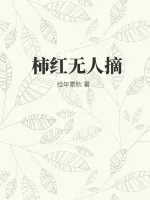 《柿红无人摘》小说封面