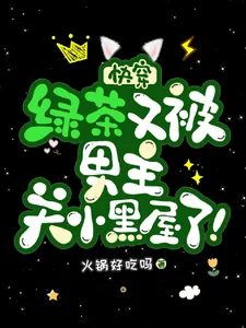 《快穿：绿茶又被男主关小黑屋了！》小说封面