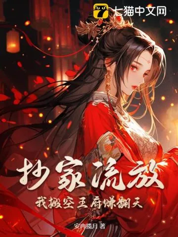 《抄家流放,我搬空王府赚翻天》小说封面