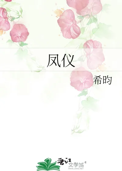 《凤仪》小说封面