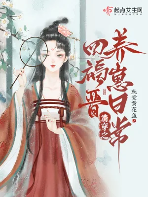 《清穿之四福晋养崽日常》小说封面