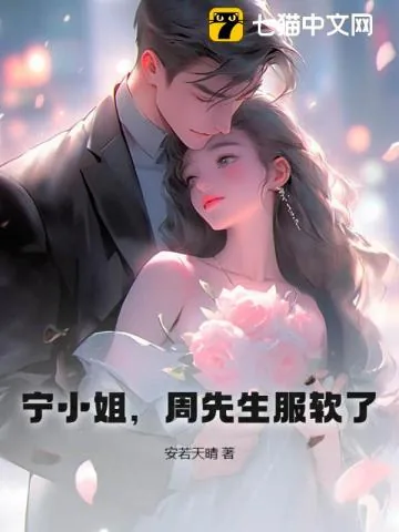 《宁小姐，周先生服软了》小说封面
