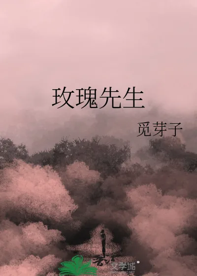 《玫瑰先生》小说封面
