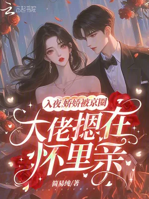 《入夜，娇娇被京圈大佬摁在怀里亲》小说封面