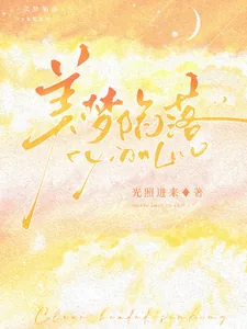 《美梦陷落》小说封面