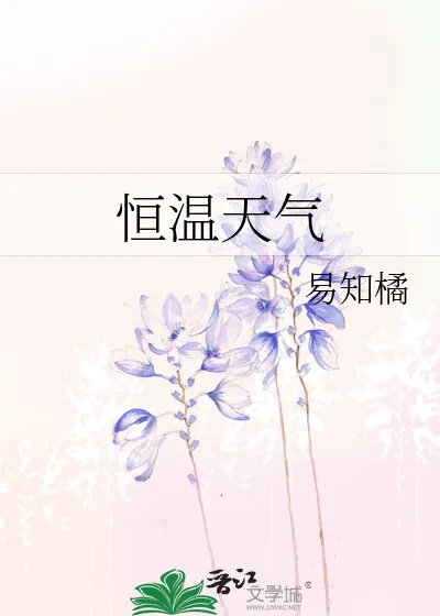 《恒温天气》小说封面