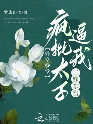 《外室登堂,疯批太子逼我二嫁东宫》小说封面