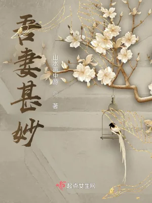 《吾妻甚妙》小说封面