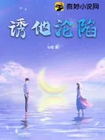 《诱他沦陷》小说封面