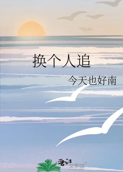 《换个人追》小说封面