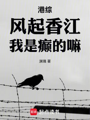 《港综：风起香江，我是癫的嘛》小说封面