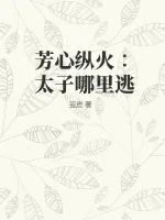 《芳心纵火∶太子哪里逃》小说封面