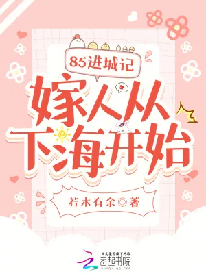 《85进城记，嫁人从下海开始》小说封面