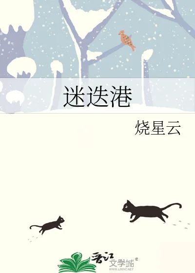 《迷迭港》小说封面