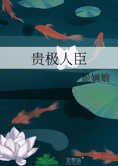《贵极人臣》小说封面