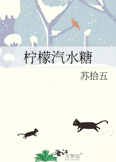 《柠檬汽水糖》小说封面