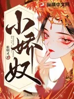 《小娇奴》小说封面