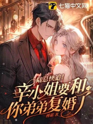 《陆总快追！辛小姐要和你弟弟复婚了》小说封面
