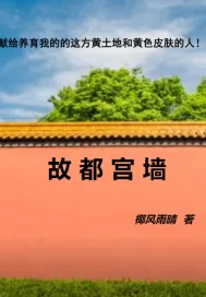 《故都宫墙》小说封面