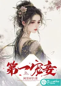 《第一宠妾》小说封面