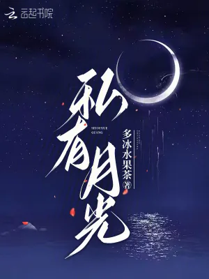 《私有月光》小说封面
