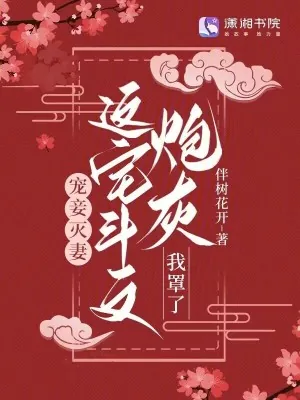 《宠妾灭妻？这宅斗文炮灰我罩了》小说封面