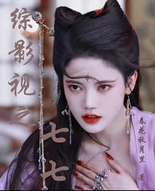 《综影视之七七》小说封面