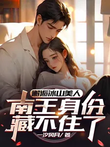 《邂逅冰山美人，南王身份藏不住了》小说封面