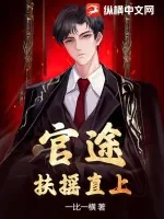 《官途：扶摇直上》小说封面