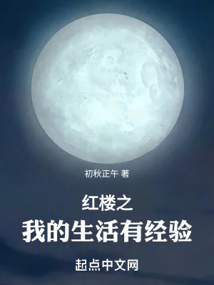 《红楼之我的生活有经验》小说封面