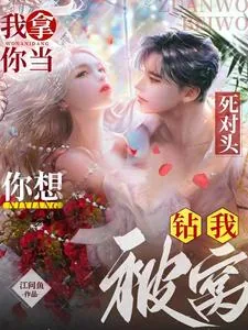 《我拿你当死对头，你想钻我被窝？》小说封面