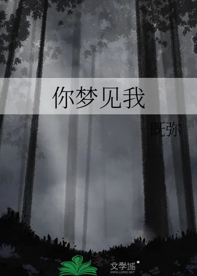 《你梦见我》小说封面