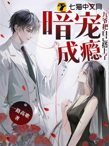 《暗宠成瘾:九爷把自己搭上了!》小说封面