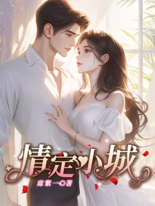 《情定小城》小说封面