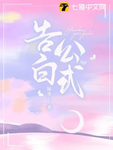 《告白公式》小说封面