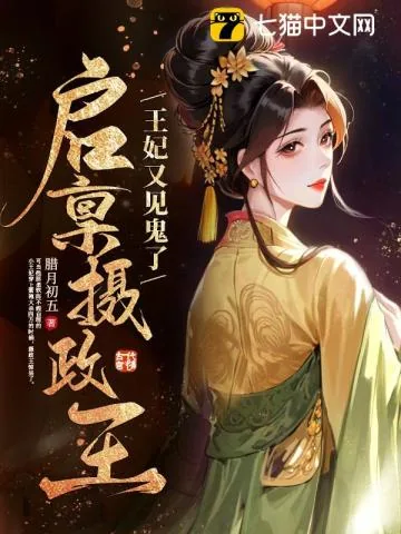 《启禀摄政王，王妃又见鬼了》小说封面
