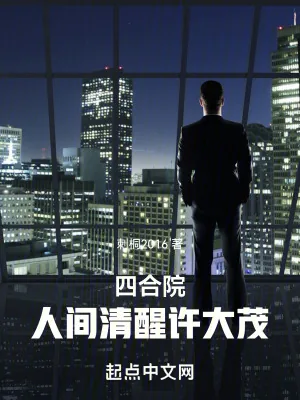 《四合院：人间清醒许大茂》小说封面