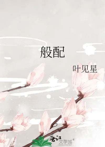 《般配》小说封面