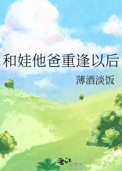 《和娃他爸重逢以后》小说封面