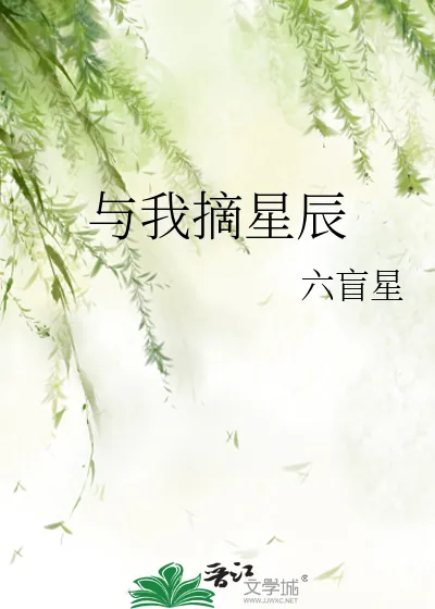 《与我摘星辰》小说封面