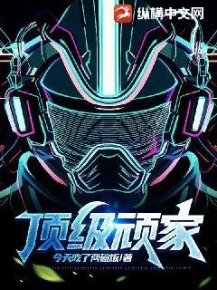 《顶级顽家》小说封面