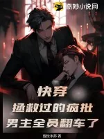 《快穿:拯救过的疯批男主全员翻车了》小说封面