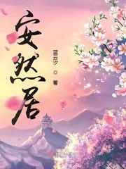 《安然居》小说封面