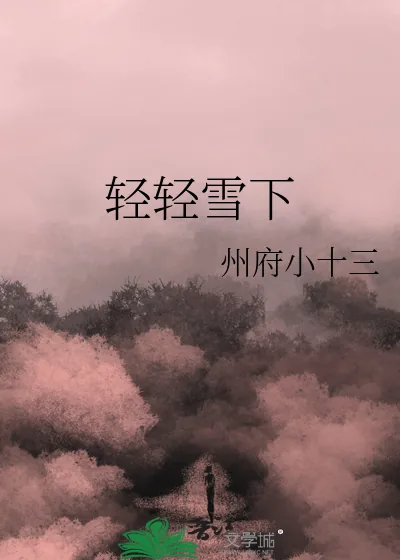 《轻轻雪下》小说封面